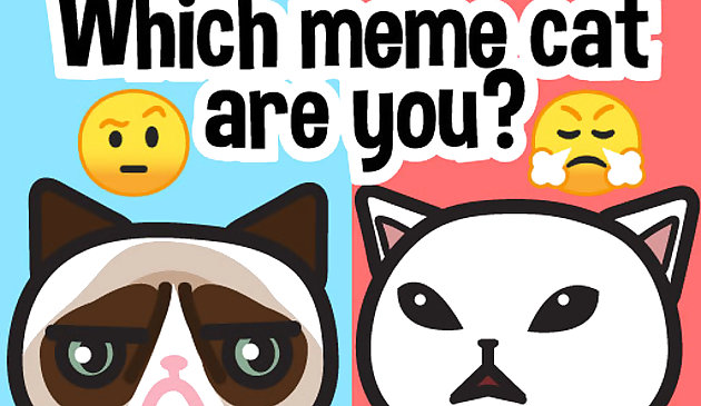 Какой ты кошачий мем?