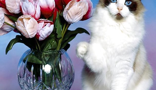 Забавные коты пазл