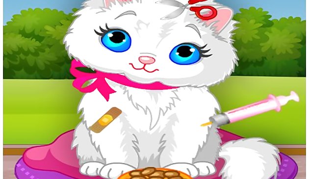 Ветеринарная клиника кошек: больница маленького котёнка