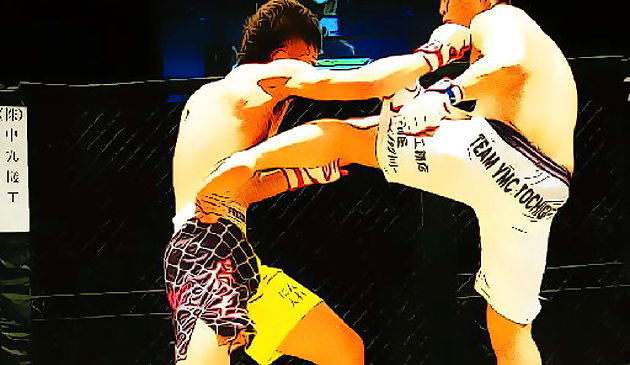 UFC борьба матч пазл