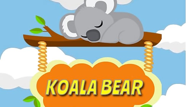 Коала медведь
