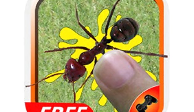 Smash Ant