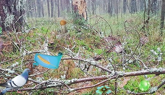 Лесное приключение Бернати