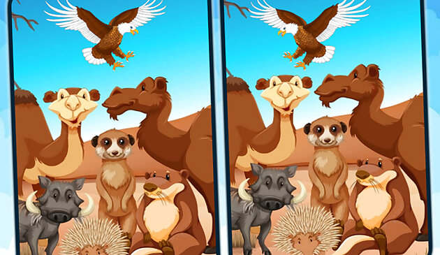 Spot 5 Differences Deserts