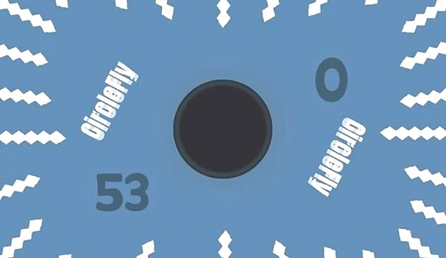 CircleFly