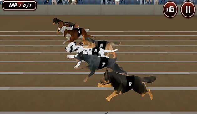 Crazy Dog Racing S3D-гоночный симулятор Сумасшедшая собакаimulator Games 3D