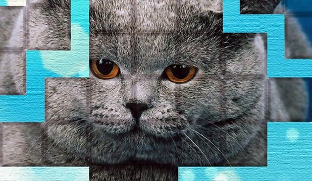 PicPu Кошачий пазл